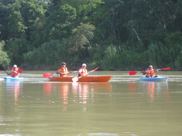 Alquilas de los Kayaks
